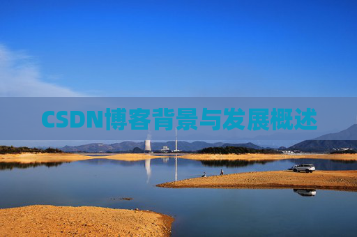 CSDN博客背景与发展概述